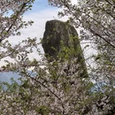 绍兴旅游 缩略图 11