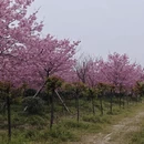 合肥旅游 缩略图 7