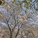 杭州旅游 缩略图 9