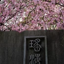 合肥旅游 缩略图 13