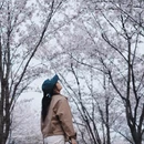 合肥旅游 缩略图 4