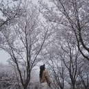 合肥旅游 缩略图 5