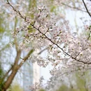 合肥旅游 缩略图 3
