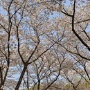 杭州旅游 缩略图 3