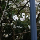 合肥旅游 缩略图 7