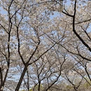 杭州旅游 缩略图 7