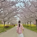 郑州旅游 缩略图 4