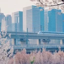 郑州旅游 缩略图 1
