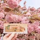 合肥旅游 缩略图 5