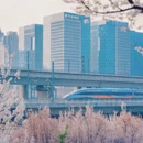郑州旅游 缩略图 3