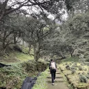 绍兴旅游 缩略图 13