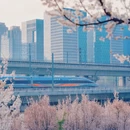郑州旅游 缩略图 2