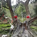 绍兴旅游 缩略图 1