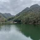 绍兴旅游 缩略图 10