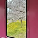郑州旅游 缩略图 5