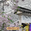 绍兴旅游 缩略图 5