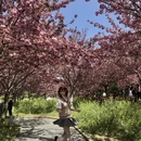 郑州旅游 缩略图 5
