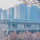 郑州旅游 缩略图 4