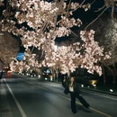 郑州旅游 缩略图 7