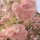 合肥旅游 缩略图 7