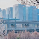 郑州旅游 缩略图 5
