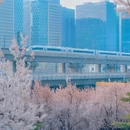 郑州旅游 缩略图 6