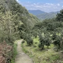 绍兴旅游 缩略图 14