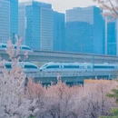 郑州旅游 缩略图 8