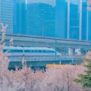 郑州旅游 缩略图 10