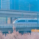 郑州旅游 缩略图 9