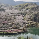杭州旅游 缩略图 4
