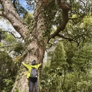杭州旅游 缩略图 8