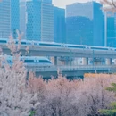 郑州旅游 缩略图 7