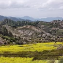 杭州旅游 缩略图 5