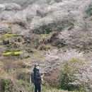 杭州旅游 缩略图 12