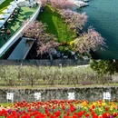 绍兴旅游 缩略图 7