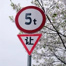 绍兴旅游 缩略图 2