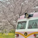 郑州旅游 缩略图 9