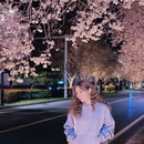 郑州旅游 缩略图 7