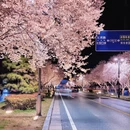 郑州旅游 缩略图 4
