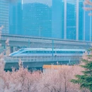 郑州旅游 缩略图 11