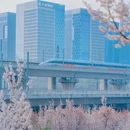 郑州旅游 缩略图 12