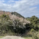 绍兴旅游 缩略图 15