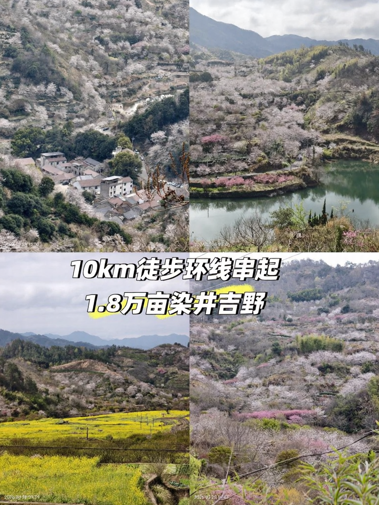 杭州旅游