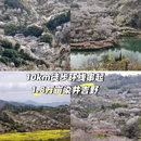 杭州旅游 缩略图 1