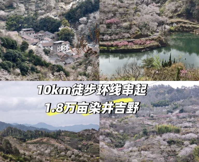 杭州旅游 1