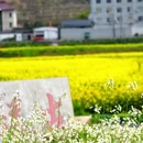 绍兴旅游 缩略图 4