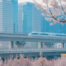 郑州旅游 缩略图 13