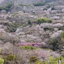 杭州旅游 缩略图 6
