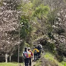 杭州旅游 缩略图 9